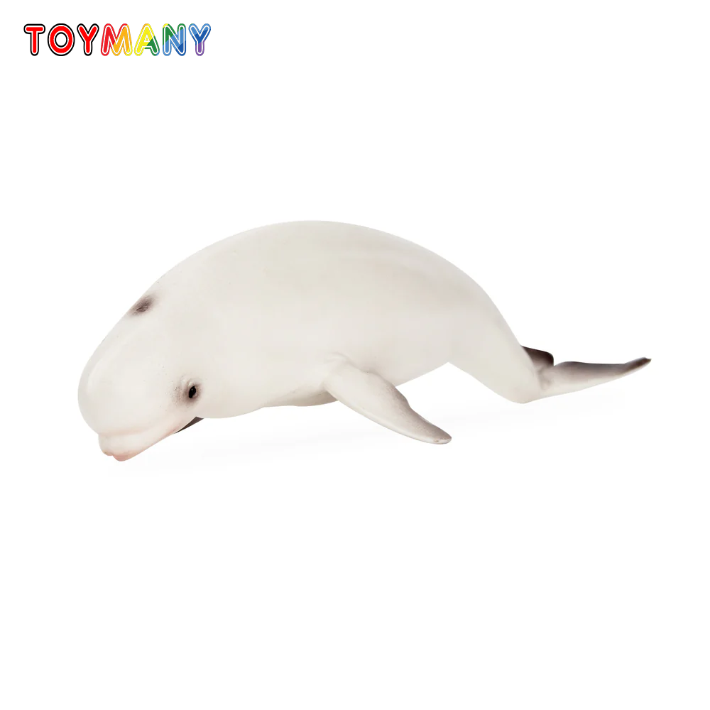 Kids Toys Variety - Toymany mainan figur Mini hewan laut,