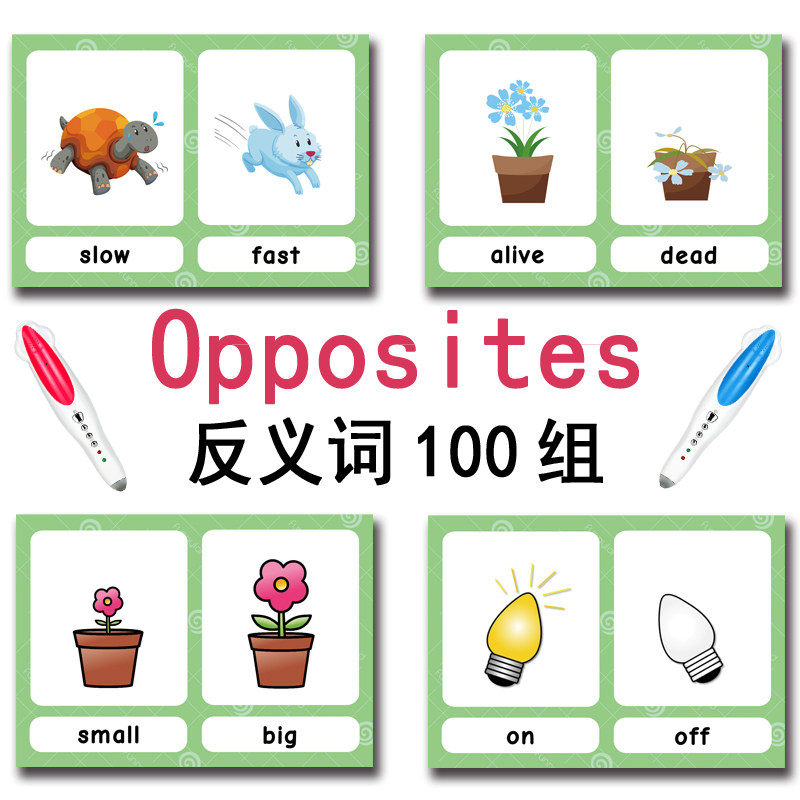 100 Kartu Flashcard Kata Bahas - Kids Toys Variety ulasan dan harga