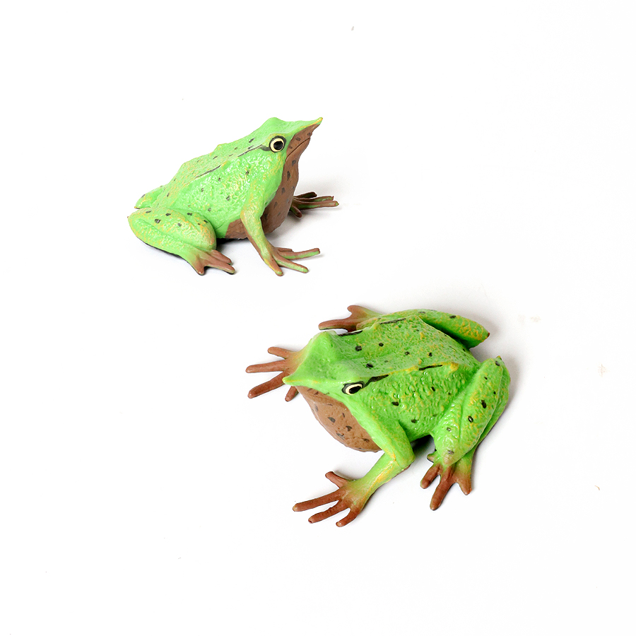 Hutan hujan Hewan katak patung - Kids Toys Under 1 Year ulasan dan harga