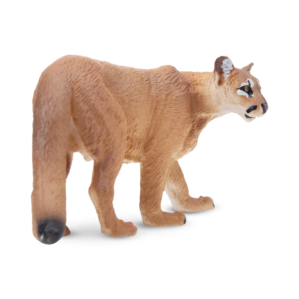Toymany Mainan Model Hewan Sat - Kids Toys Variety ulasan dan harga