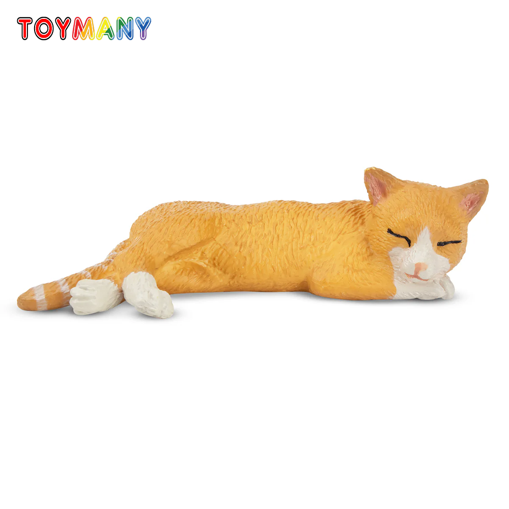 Toymany Mainan Model Hewan Pel - Kids Toys Variety ulasan dan harga