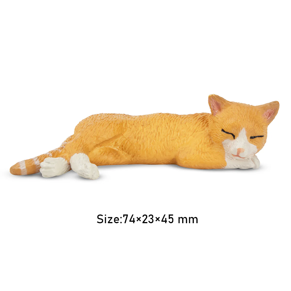 Toymany Mainan Model Hewan Pel - Kids Toys Variety ulasan dan harga