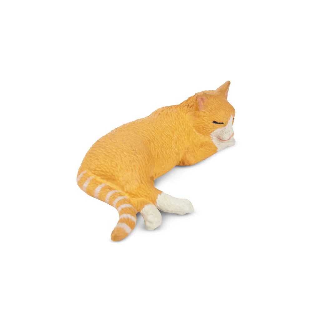 Toymany Mainan Model Hewan Pel - Kids Toys Variety ulasan dan harga