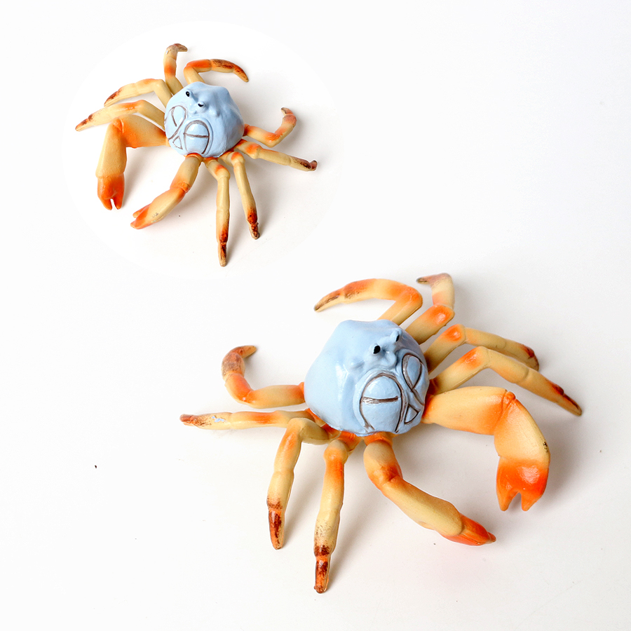 Hewan Laut Realistis Kepiting  - Kids Toys Under 1 Year ulasan dan harga
