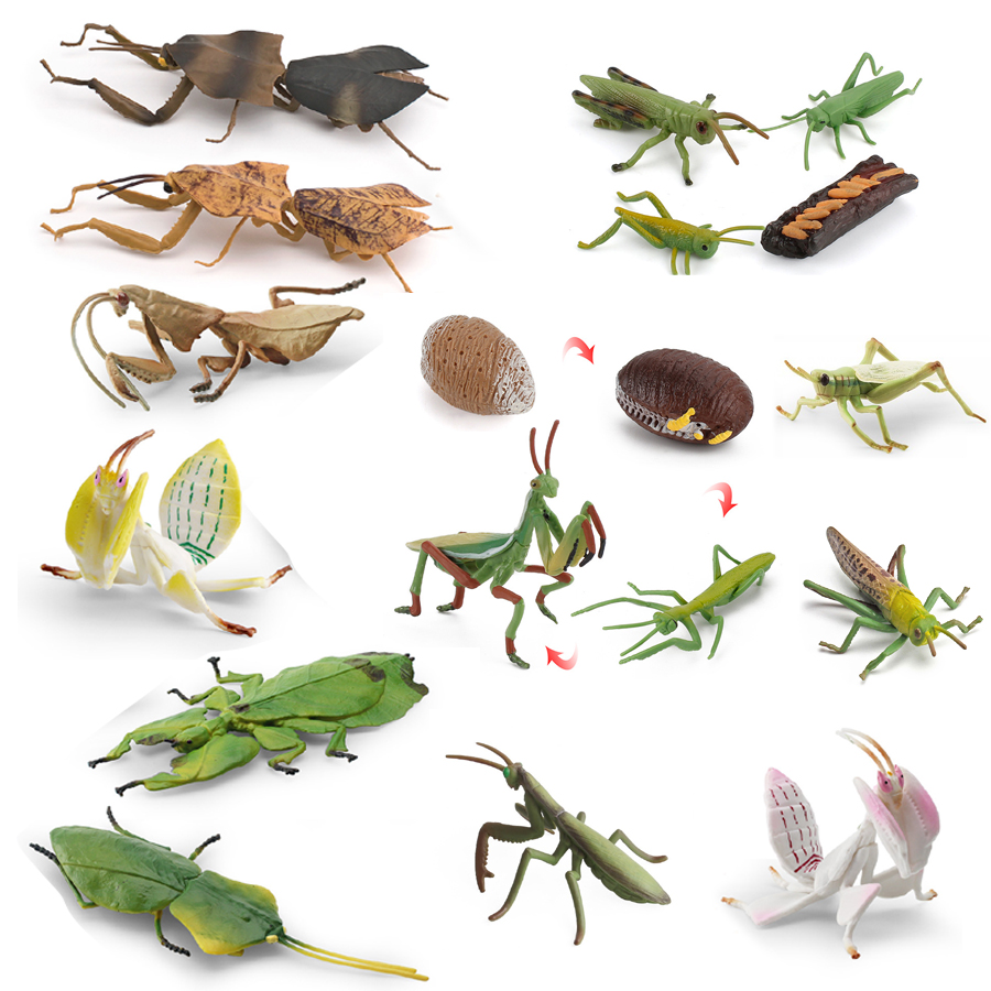 Model Figur Serangga Daun Raks - Kids Toys Under 1 Year ulasan dan harga