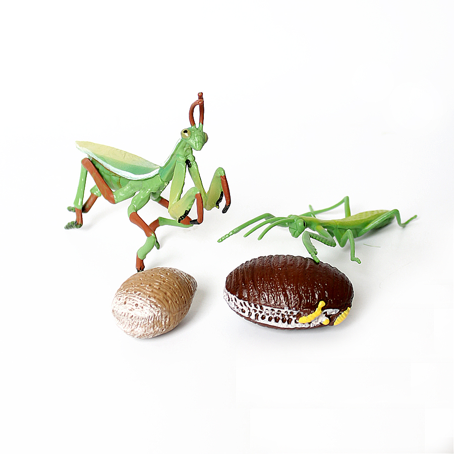 Model Figur Serangga Daun Raks - Kids Toys Under 1 Year ulasan dan harga